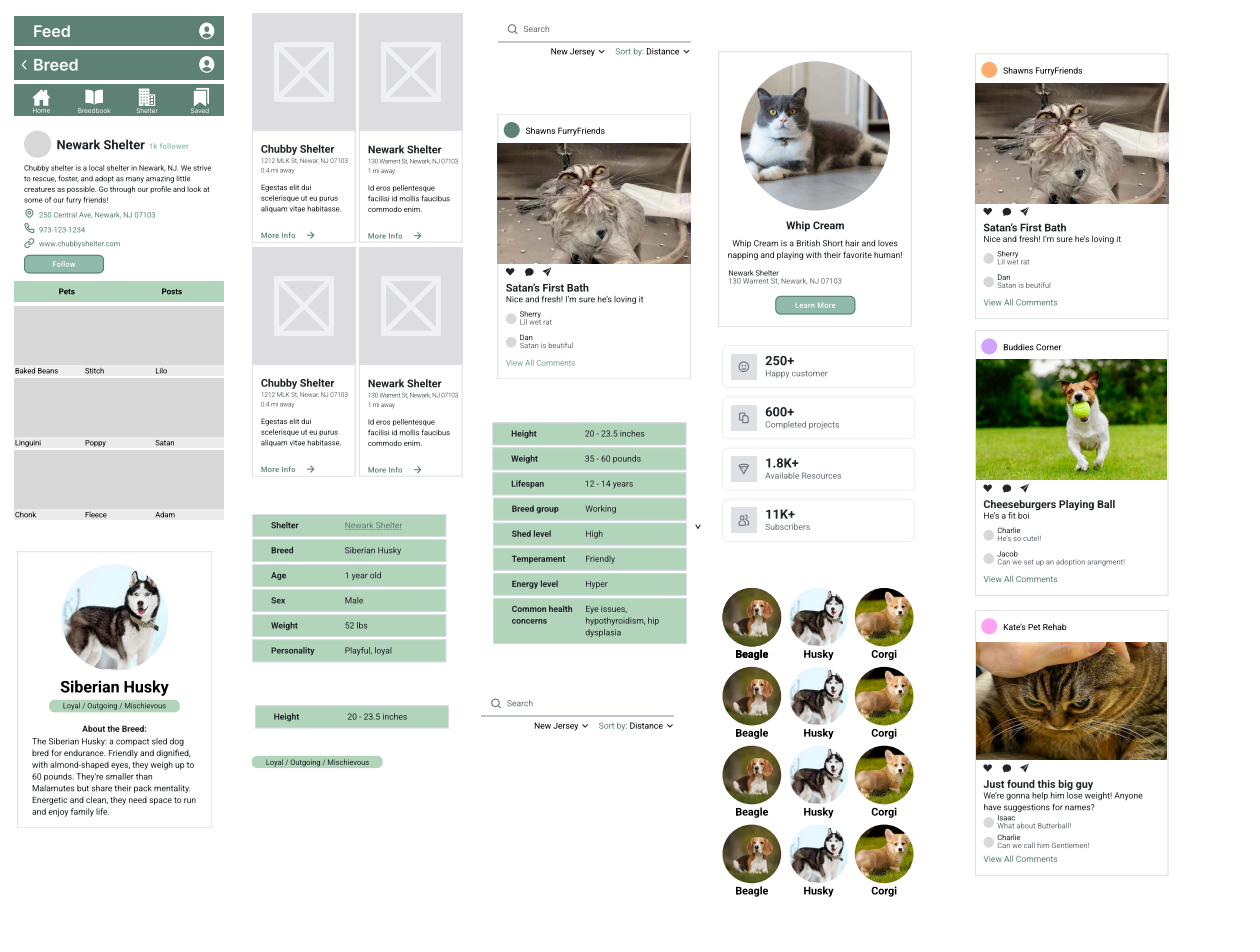 Pawfect Pets wireframes and hi-fi screens